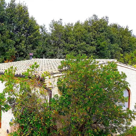 Locazione Turistica Ulivi SantʼElpidio a Mare